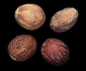 Myristica: Nutmeg