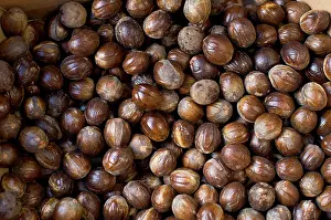 Nutmeg: Nutmeg - Minahasa highlands