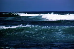 Crests: Oahu North Shore