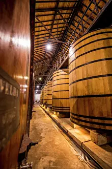 Winery: Oak vats and barrels, Real Companhia Velha winery and