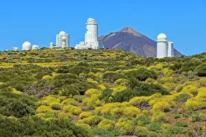Teide: Observatorio del Teide, Teide Observatory, flixweed