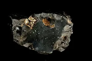 Obsidian: Obsidian with Cristobalite Sphenoids