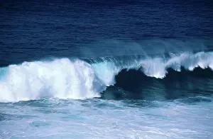 Crashing: Ocean Wave, Hawaii