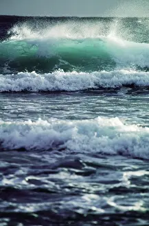 Crests: Ocean Waves, Hawaii