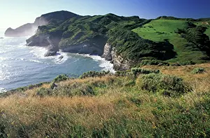 William: Oceania, New Zealand. Cape Farewell