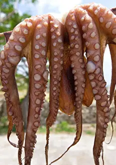 Hung: Octopus hung out to dry in taverna