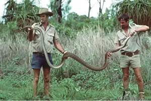 Python: OENPELLI PYTHON - being held by two men