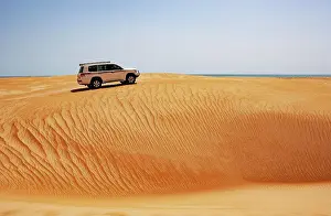 Sultanate: Off-road vehicle drives on sand dune, desert safari