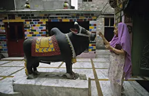 Sculptures: Offering to Nandi Mandi Himachal Pradesh India
