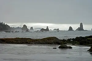 Offshore: Offshore Sea Stacks