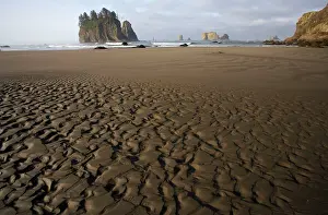 Offshore: Offshore Sea Stacks and Sandy Beach at Low Tide