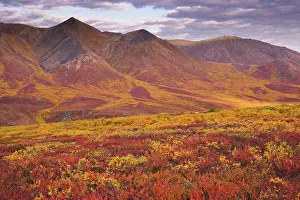 Yukon: Ogilvie Mountains in autumn colors
