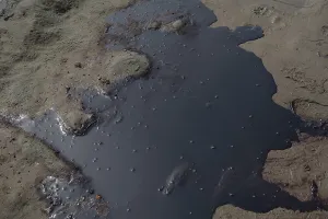 Cleanup: Oil on the Beach, Grand Isle, La