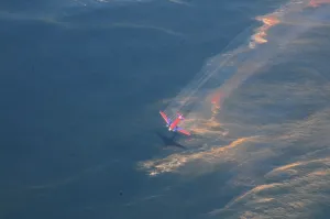 Plane: Oil dispersant operations