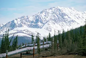 Pipes: Oil Pipe Line