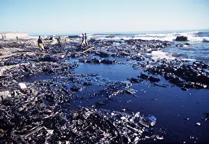 Peter Steyn: OIL POLLUTION - From MV Treasure, Cape Town. June 2000
