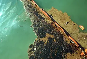 Sydney: Oil pollution in Sydney Harbour from a Tawinese