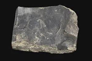 Grained: Oil Shale