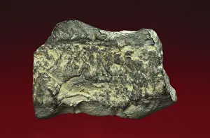Grained: Oil Shale