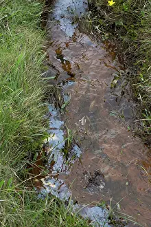 Slick: Oil Slick