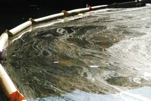 Queens: Oil Slick on Newtown Creek, NYC