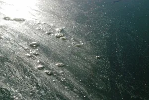 Queens: Oil Slick on Newtown Creek, NYC