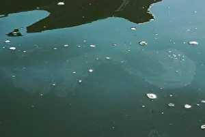 Queens: Oil Slick on Newtown Creek, NYC