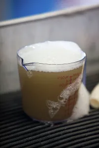Soap: Oil and Soap from Pelican Cleanup