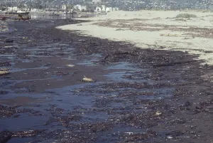 1969: Oil Spill in California