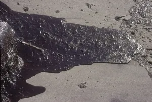 1969: Oil Spill in California