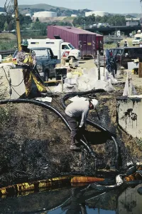 Company: Oil Spill Cleanup