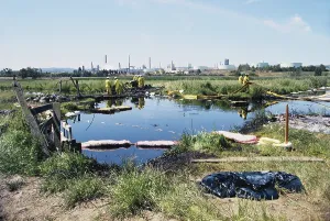 Company: Oil Spill Cleanup
