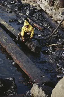 Cleanup: Oil Spill Cleanup