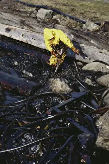Cleanup: Oil Spill Cleanup