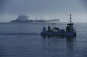 Cleanup: Oil Spill Cleanup