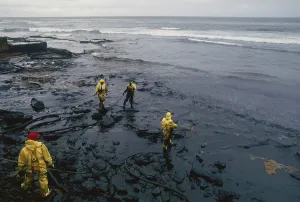 Morris: Oil Spill Cleanup, Puerto Rico