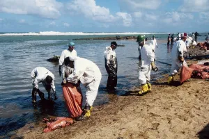 Morris: Oil Spill Cleanup, Puerto Rico