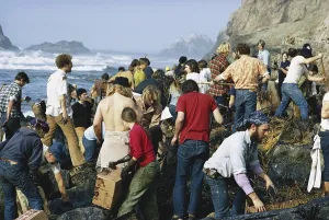 1976: Oil Spill Cleanup, San Francisco