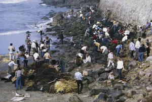 1976: Oil Spill Cleanup, San Francisco
