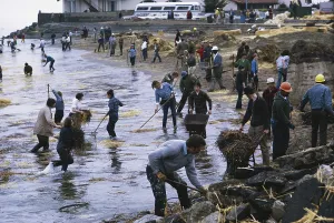 1976: Oil Spill Cleanup, San Francisco