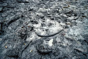 Reclamation: Oily Beach After Exxon-Valdez Spill