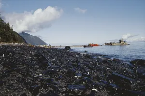 Oily: Oily Beach After Exxon-Valdez Spill, Prince William Sound, A