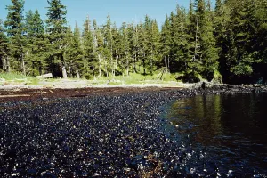 Oily: Oily Beach After Exxon-Valdez Spill, Prince William Sound, A