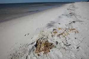 Oily: Oily Sand on Gulf