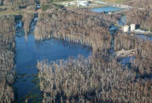 Accident: Oily Sheen on Sinkhole