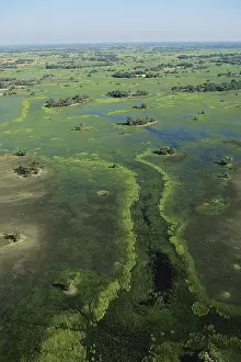 Flooding: Okavango Delta