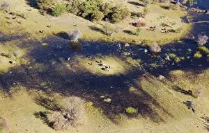 Endorheic: Okavango Delta aerial view just outside the protected