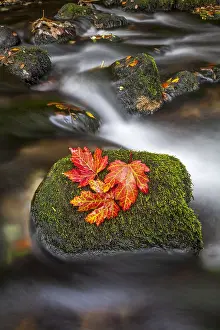 Riverbeds: Okement River - Okehampton - Devon - UK