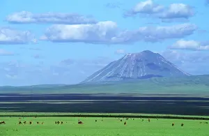 Massai: Ol Doinyo Lengai - Volcano Sacred to Massai & Wildebeeste