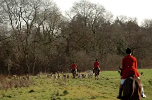 Alongside: Old Berks Hunt - Hunters on horseback with dogs alongside